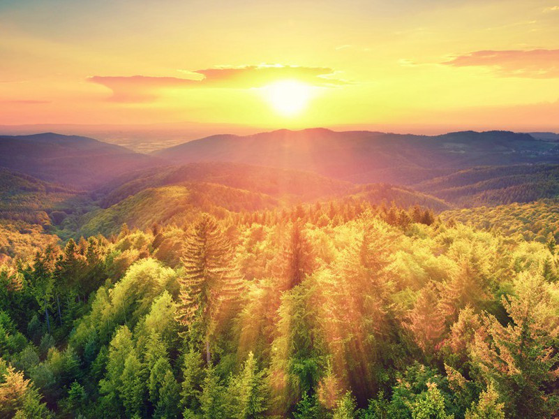 杜甫与鲍照(二)