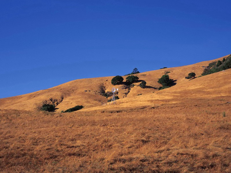 送长孙九侍御赴武威判官