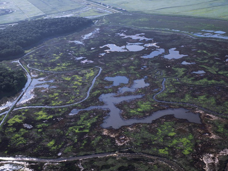 赠田九判官梁丘
