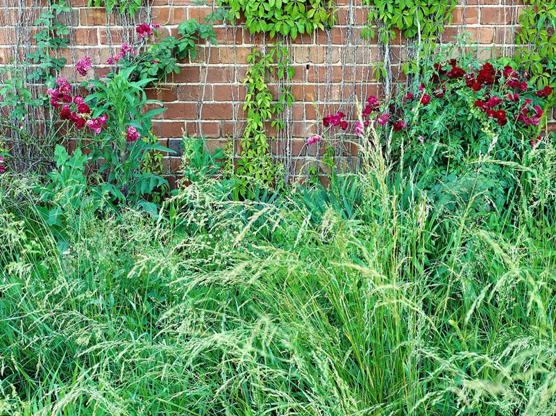 曲江三章章五句