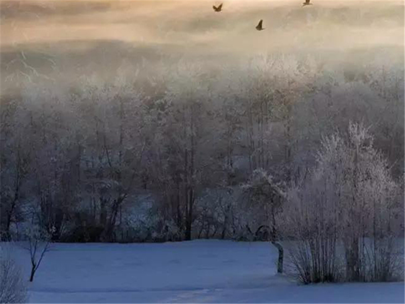 敬赠郑谏议十韵