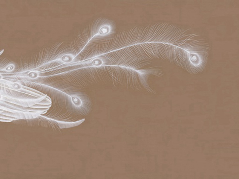 赠特进汝阳王二十二韵