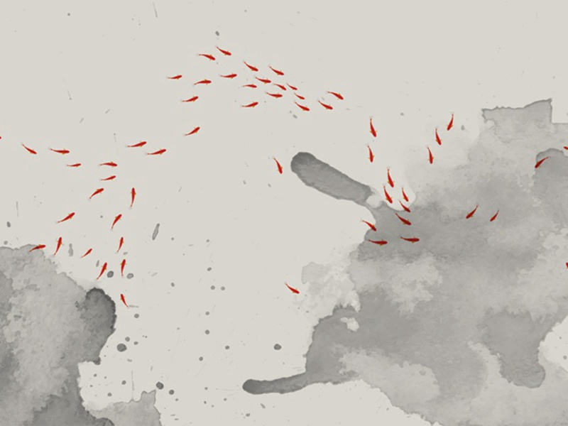 “已拨形骸累”-杜甫赢得千秋“工部”名